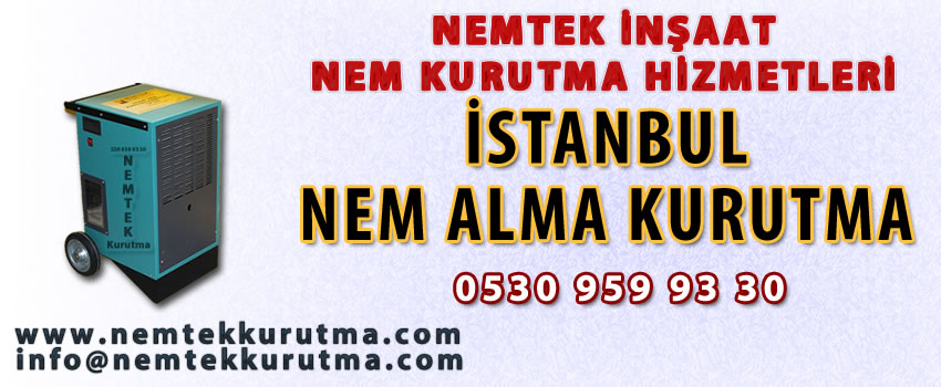 İstanbul Nem Alma Kurutma